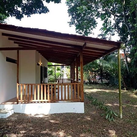 Вилла Green Papaya Puerto Viejo de Talamanca Экстерьер фото