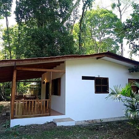 Вилла Green Papaya Puerto Viejo de Talamanca Экстерьер фото