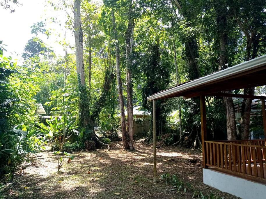 Вилла Green Papaya Puerto Viejo de Talamanca Экстерьер фото