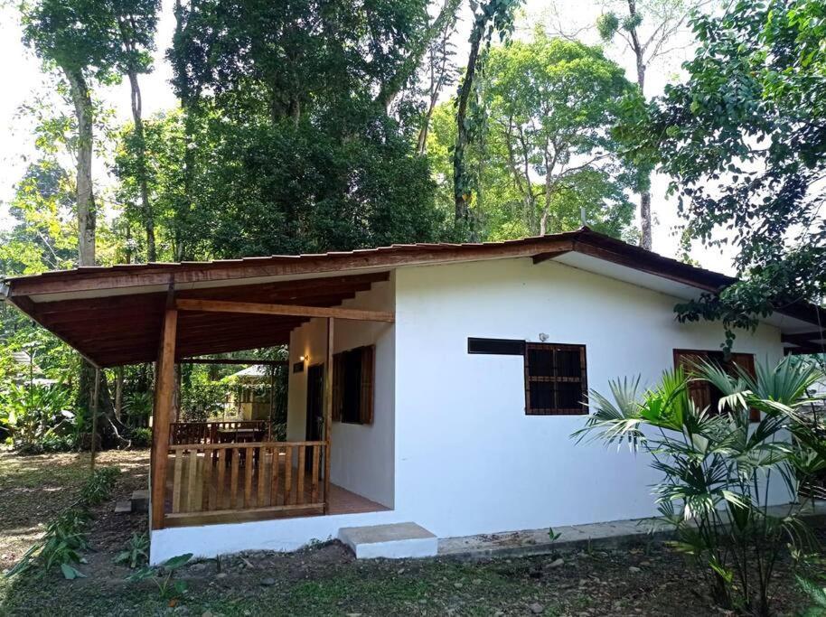 Вилла Green Papaya Puerto Viejo de Talamanca Экстерьер фото