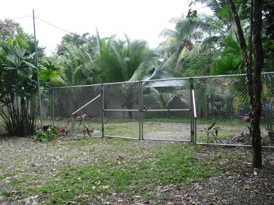 Вилла Green Papaya Puerto Viejo de Talamanca Экстерьер фото