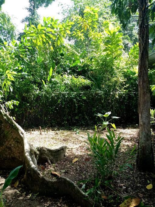 Вилла Green Papaya Puerto Viejo de Talamanca Экстерьер фото