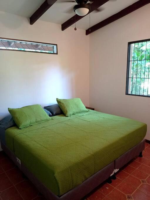 Вилла Green Papaya Puerto Viejo de Talamanca Экстерьер фото